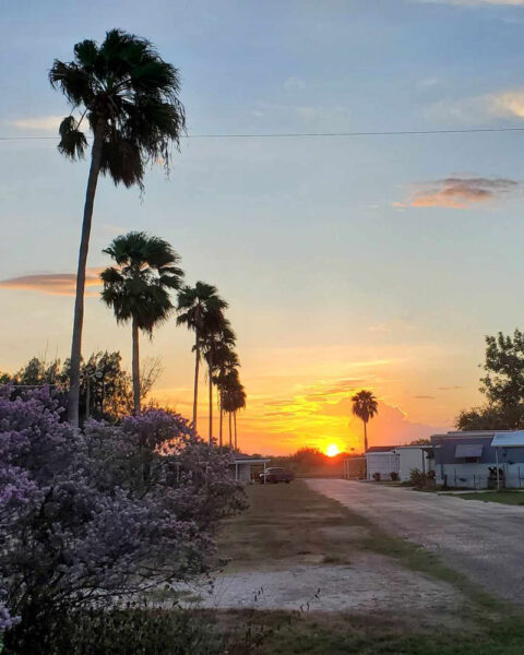 Oleander Acres RV park in Mission, TX (photo 1)